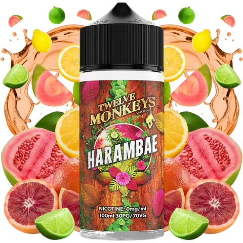Twelve Monkeys 100ml Shortfill Vape Juice | Fruity & Iced Flavour Twelve Monkeys 100ml Shortfill Vape Juice | Fruity & Iced Flavour