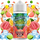 Twelve Monkeys 100ml Shortfills 2024 Edition Harambae Iced