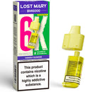 Lost Mary BM6000 Prefilled Pods + Refill Container