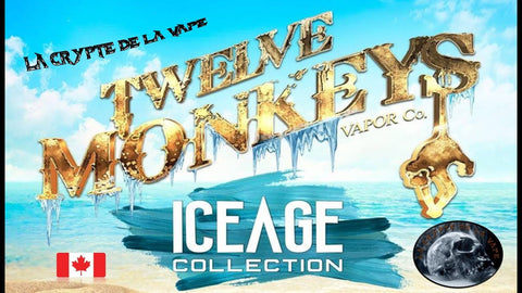 Twelve Monkeys Ice Age E-Liquid 50ml Shortfill On White Background